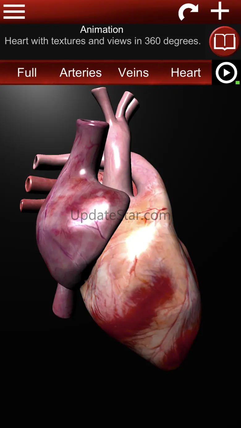 Circulatory System 3D Anatomy 1.58