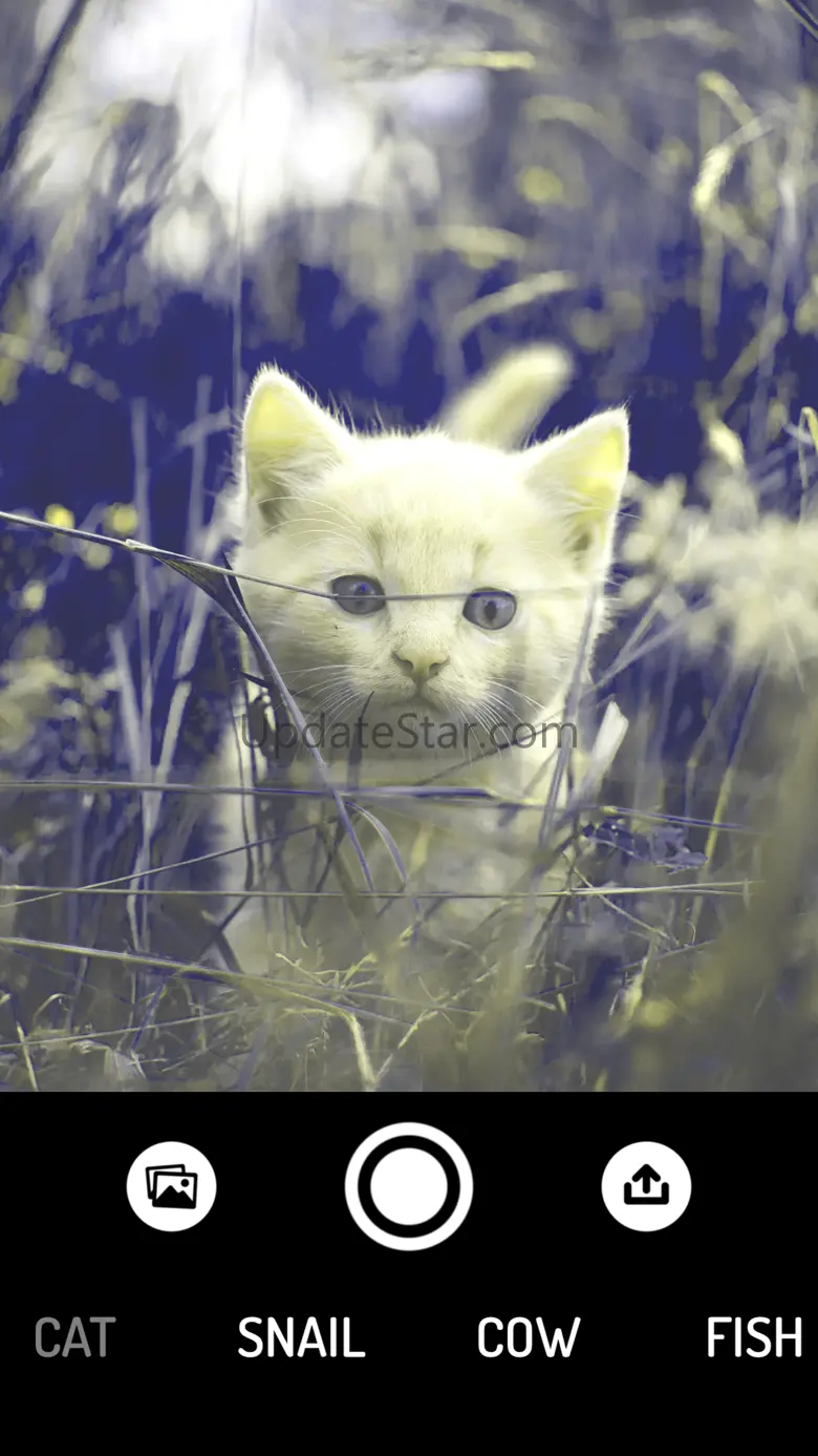 How do Animals see? - Camera 1.3