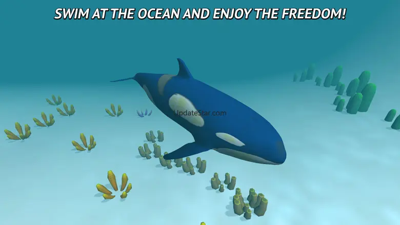 Angry Killer Whale: Orca Simulator 3D 1.0
