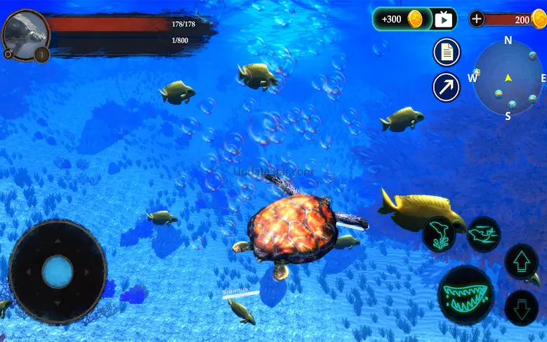 The Turtle 1.1.5