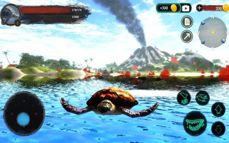 The Turtle 1.1.5
