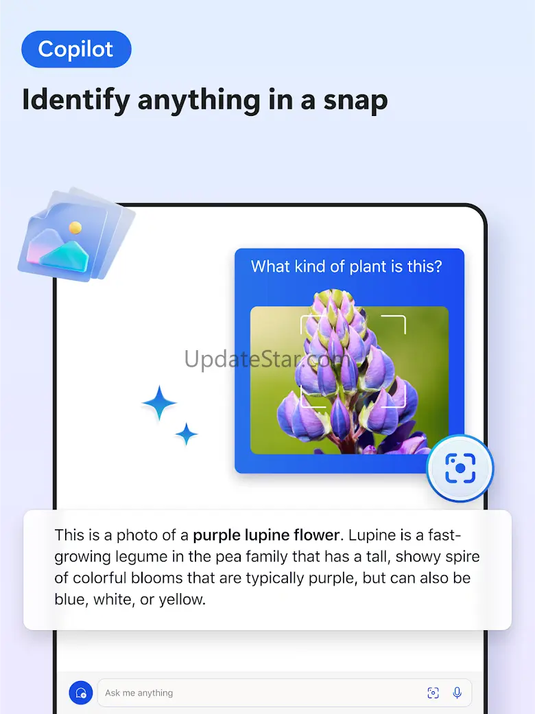 Microsoft Edge Dev 134.0.3124.5