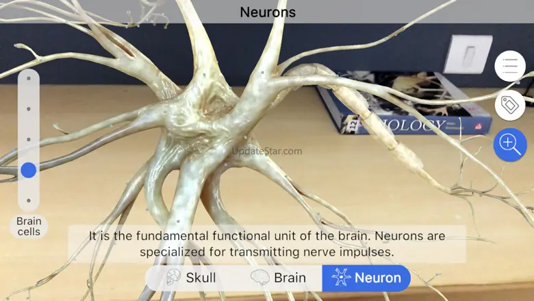 Brainapse 1.48