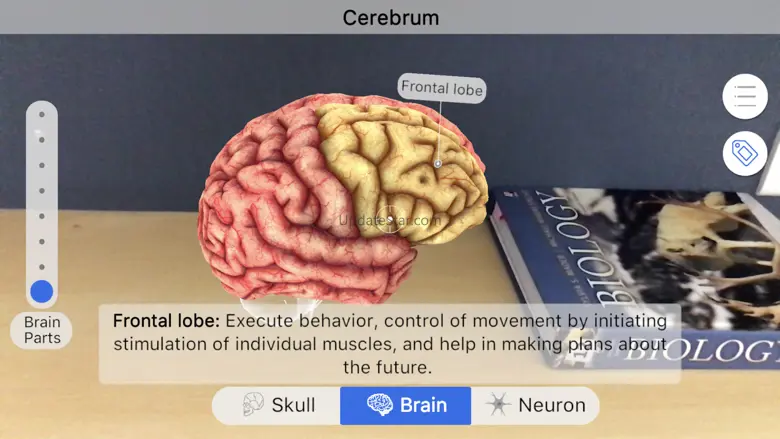 Brainapse 1.48