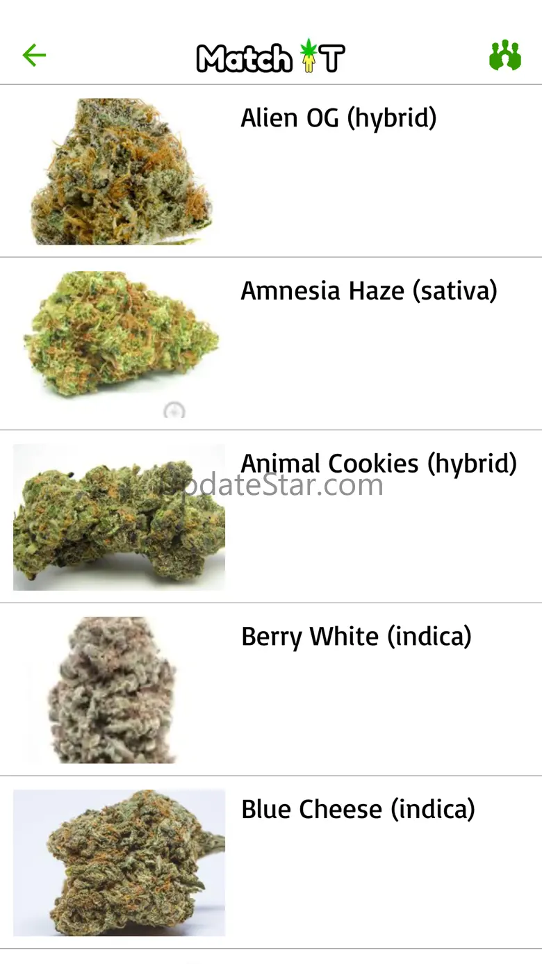 Match iT 420 2.1
