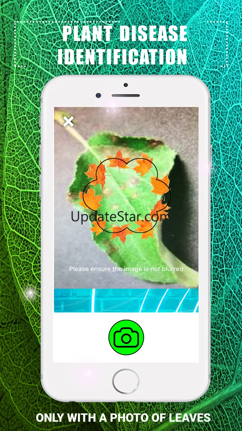 Plants Disease Identification 2.2