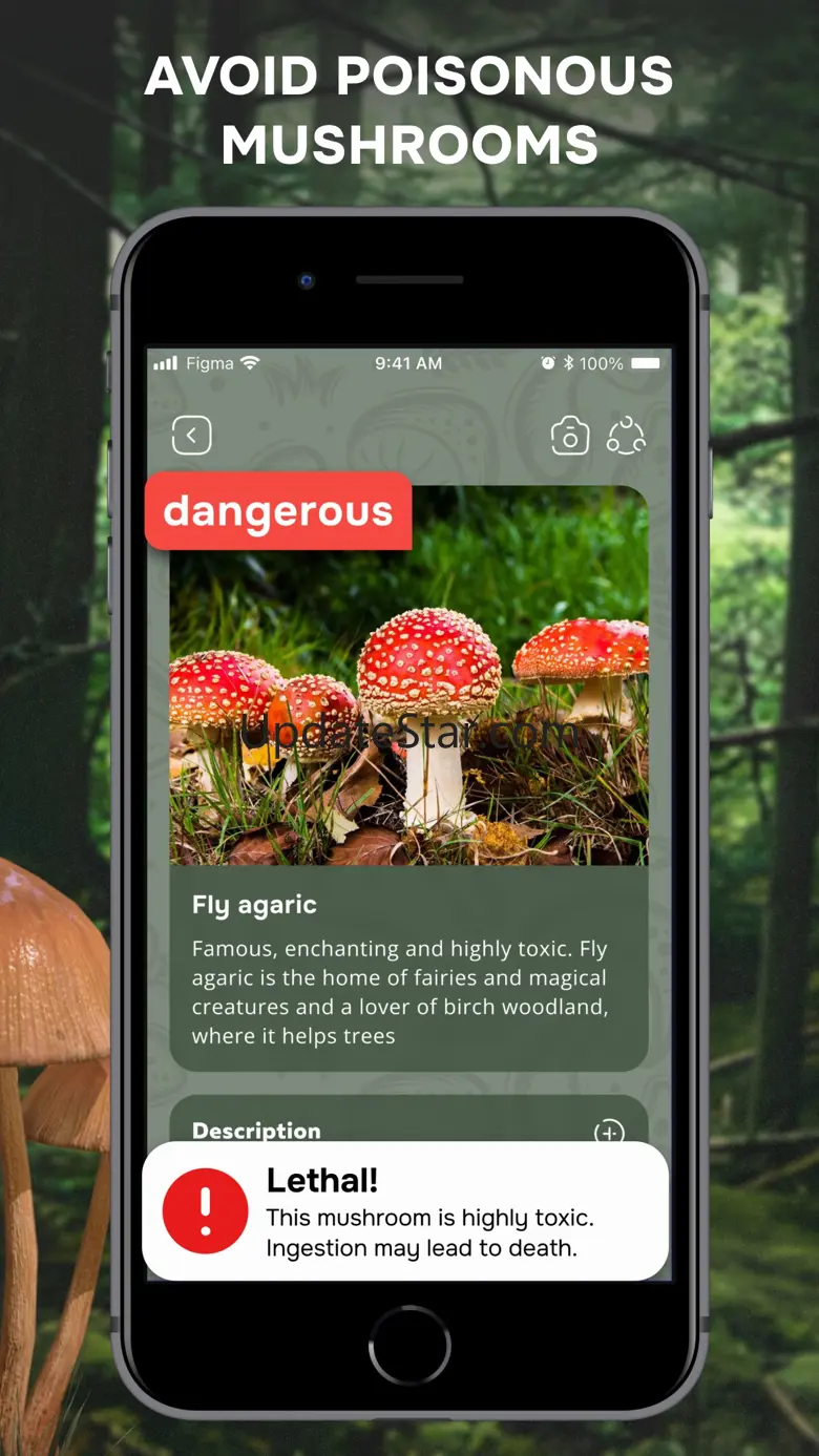 Mushroom Identification ID App 2.3