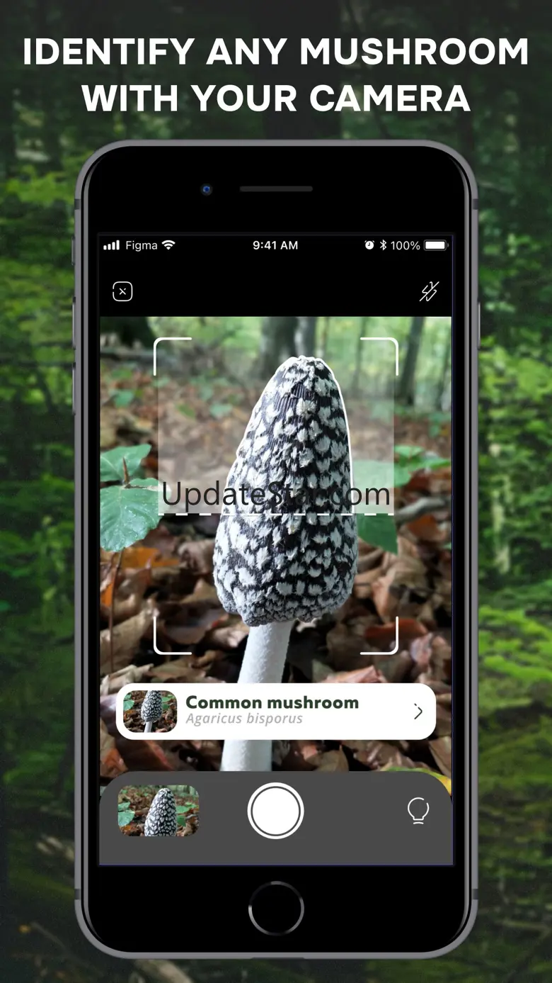 Mushroom Identification ID App 2.3