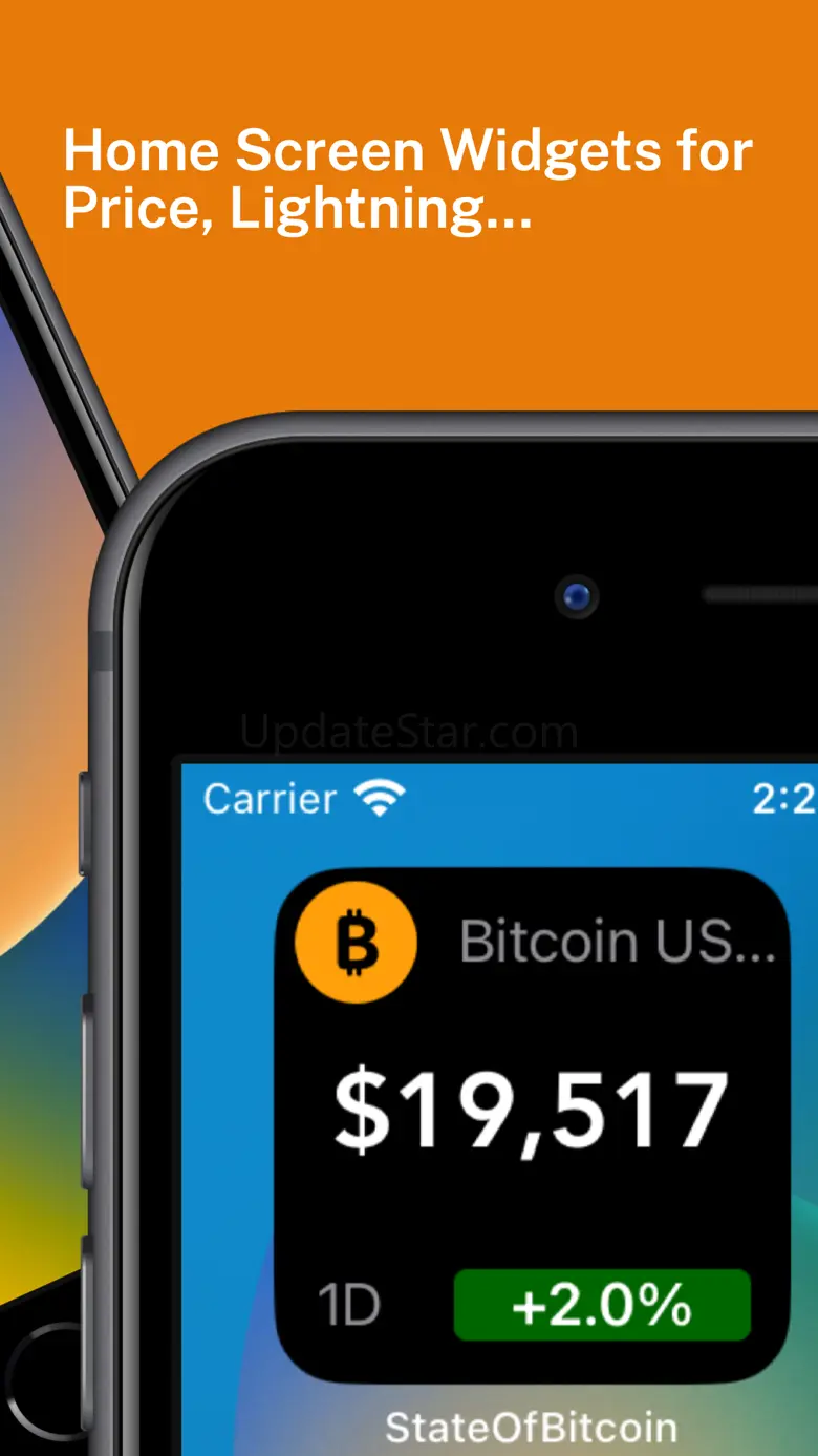 State of Bitcoin 2024.05