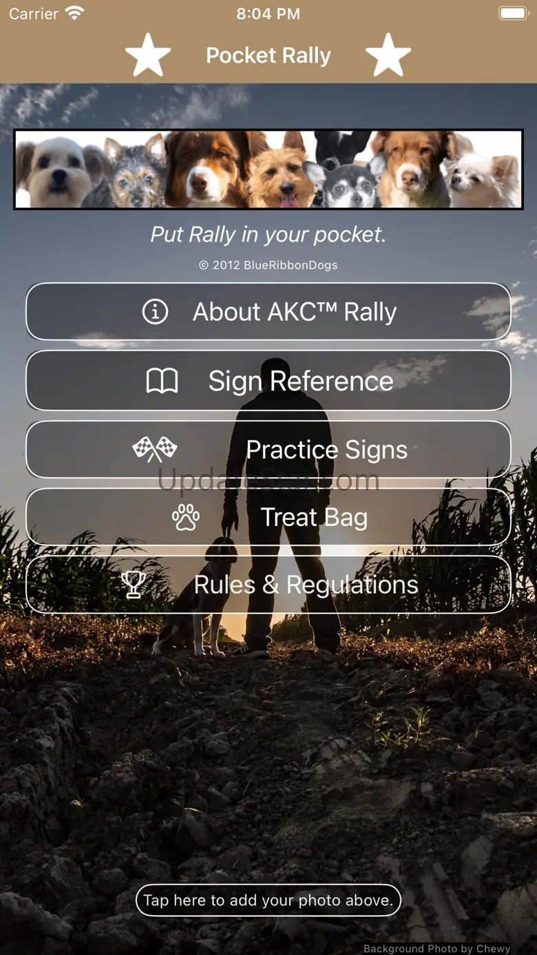 Pocket Rally Dog Obedience 9.1