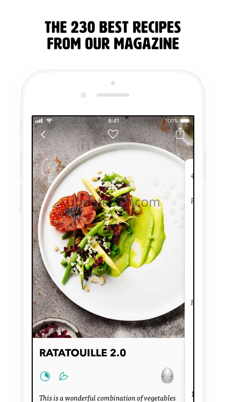 Vegourmet 2.5.2