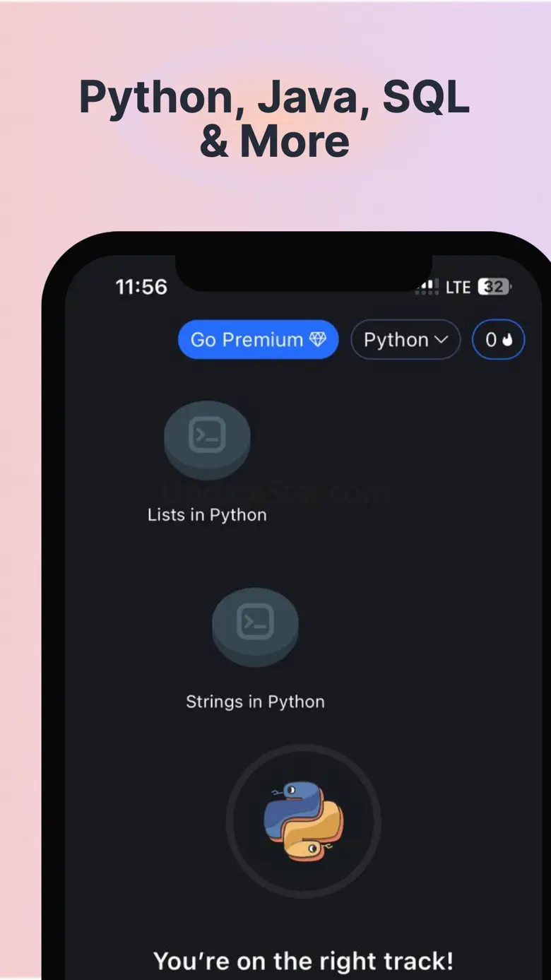 Coding game: Python Java Learn 3.15