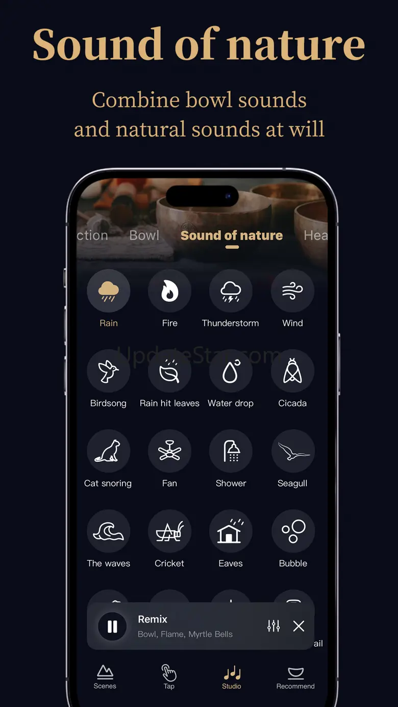 Tibetan Singing Bowls Bell 2.9.8