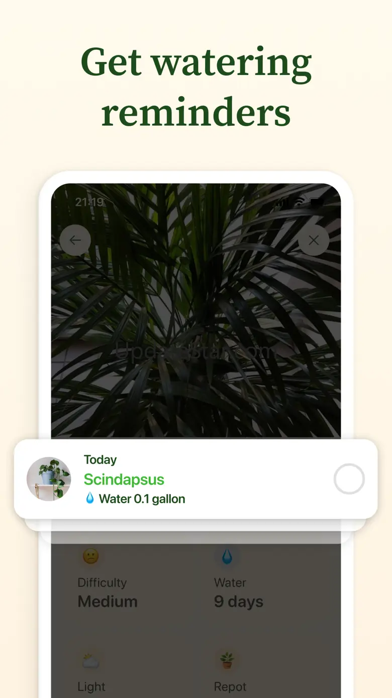 Plant: Identifier & Diagnostic 1.16.6