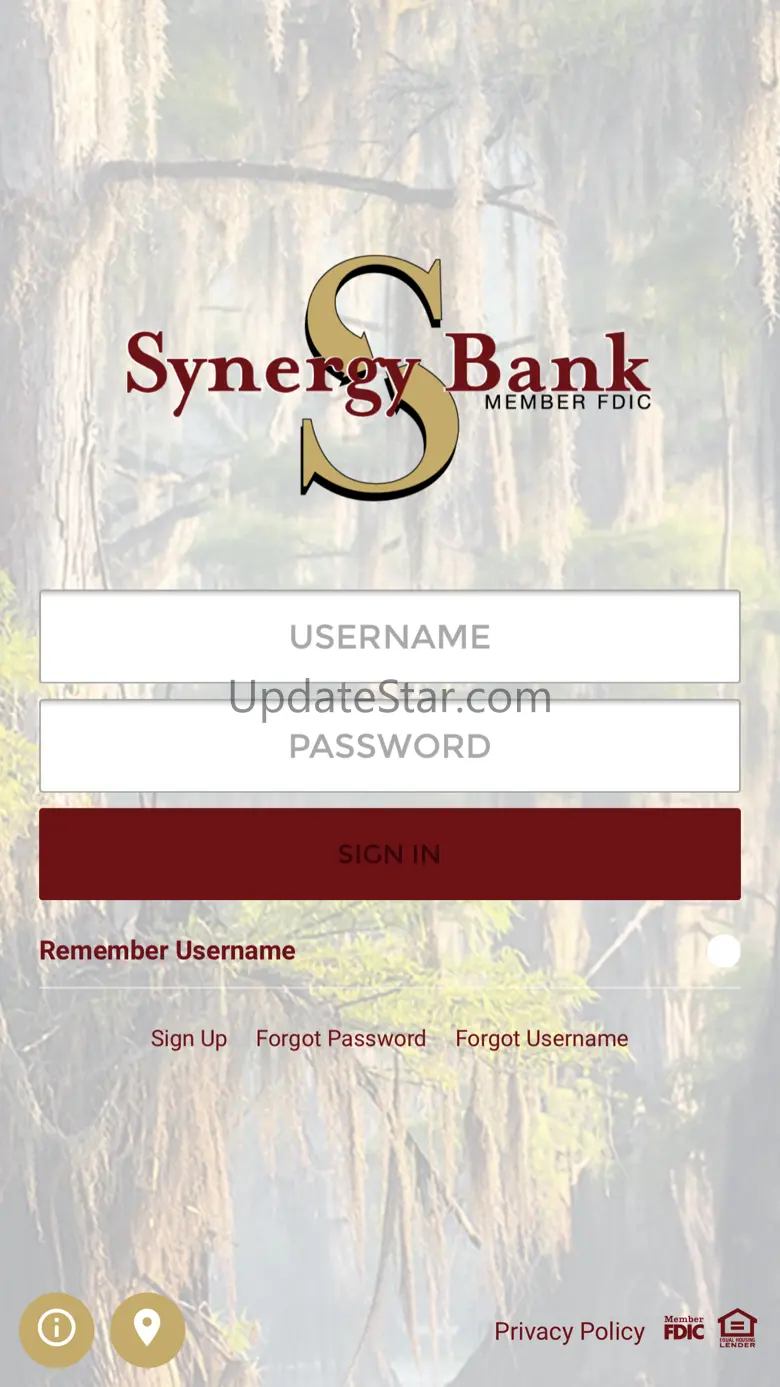 Synergy Bank 2010.10.3