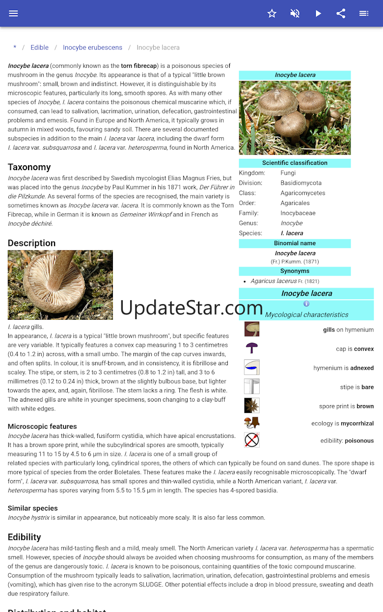 Mushrooms 82.3.02
