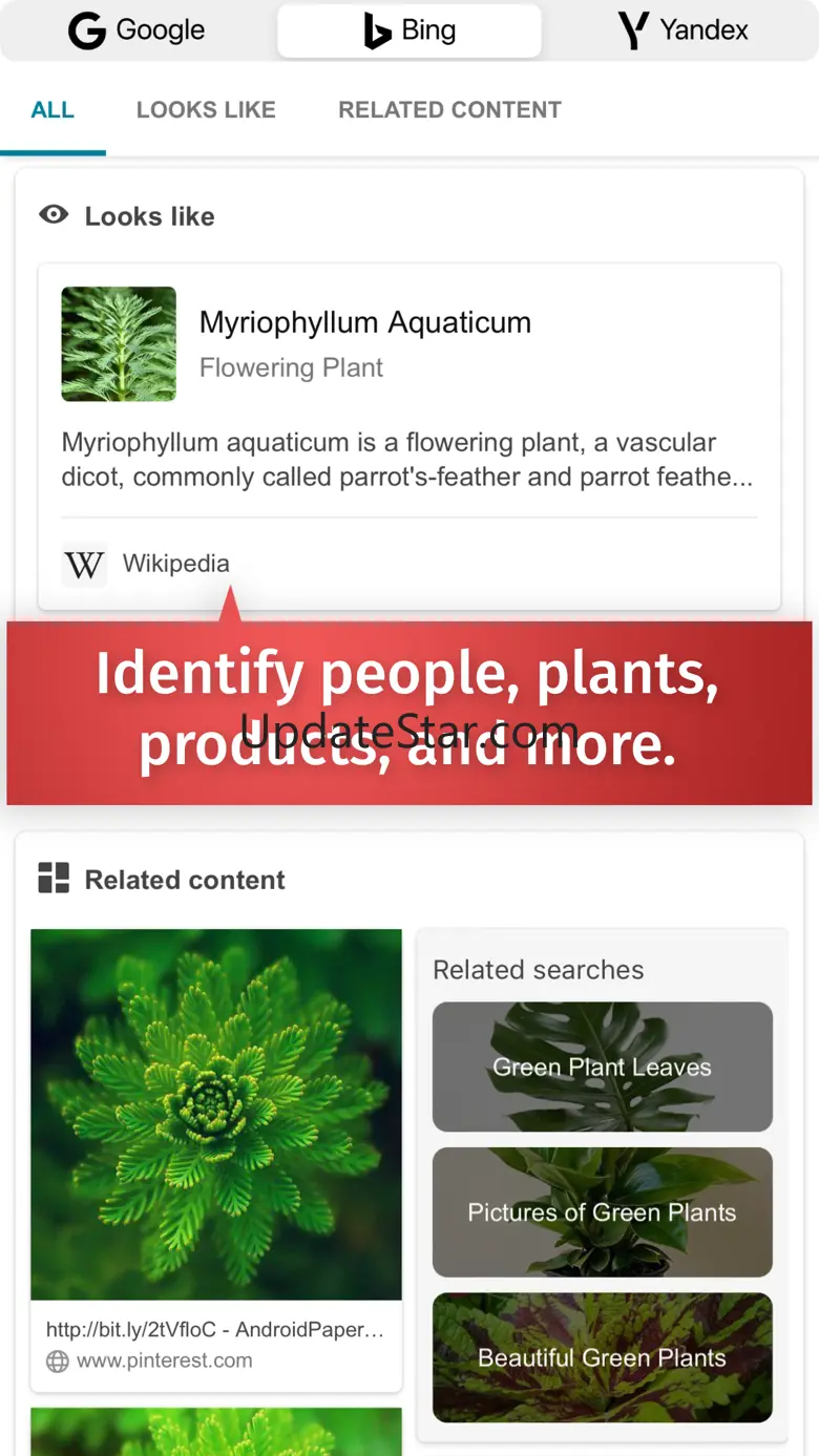 Image Search: Reverse Search 1.2.2
