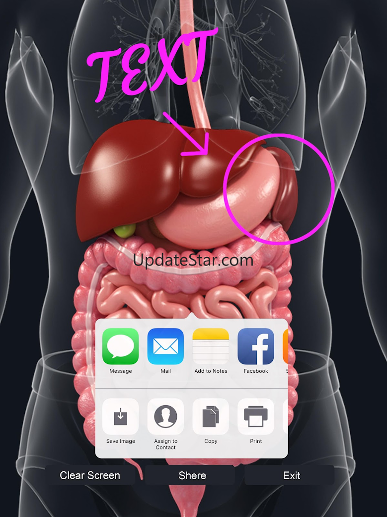 Digestive System 1.1.7