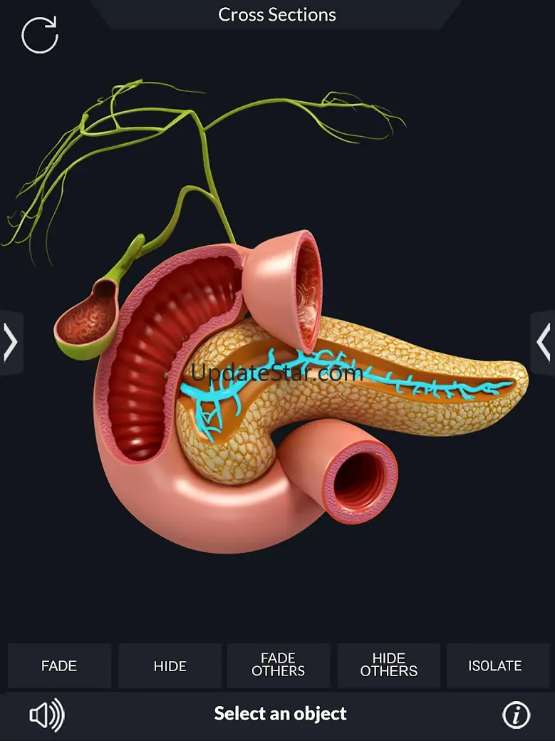 Digestive System 1.1.7
