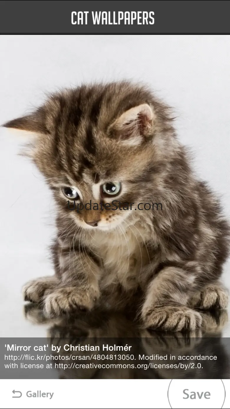 Cat Wallpapers! 1.2