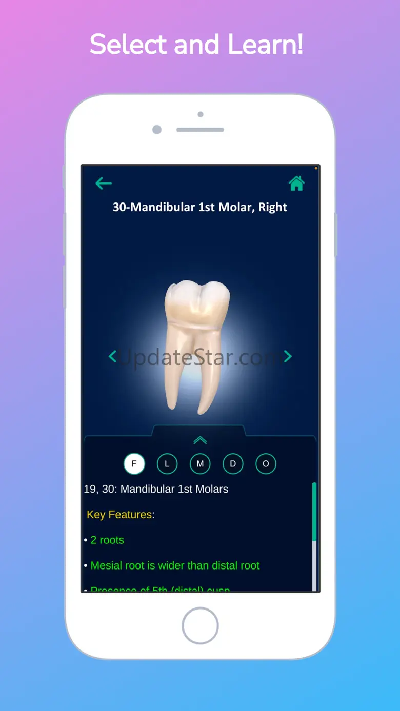 i-DENTify: Dental Anatomy 1.1