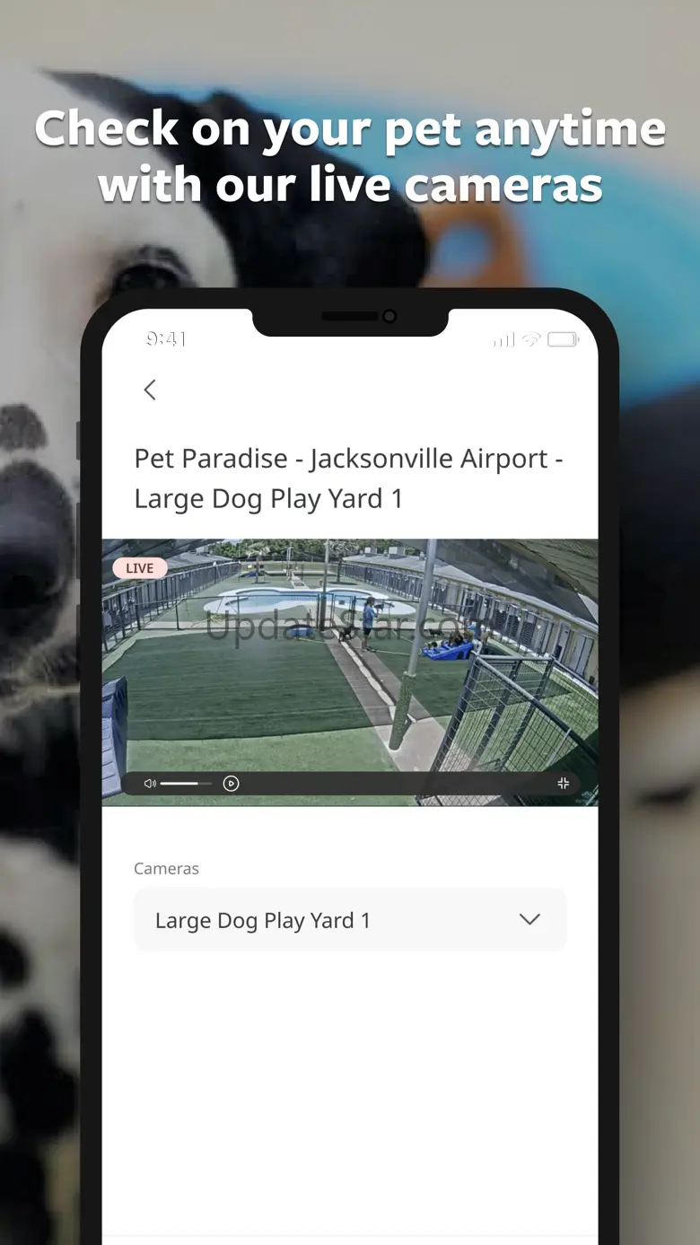 Pet Paradise 51