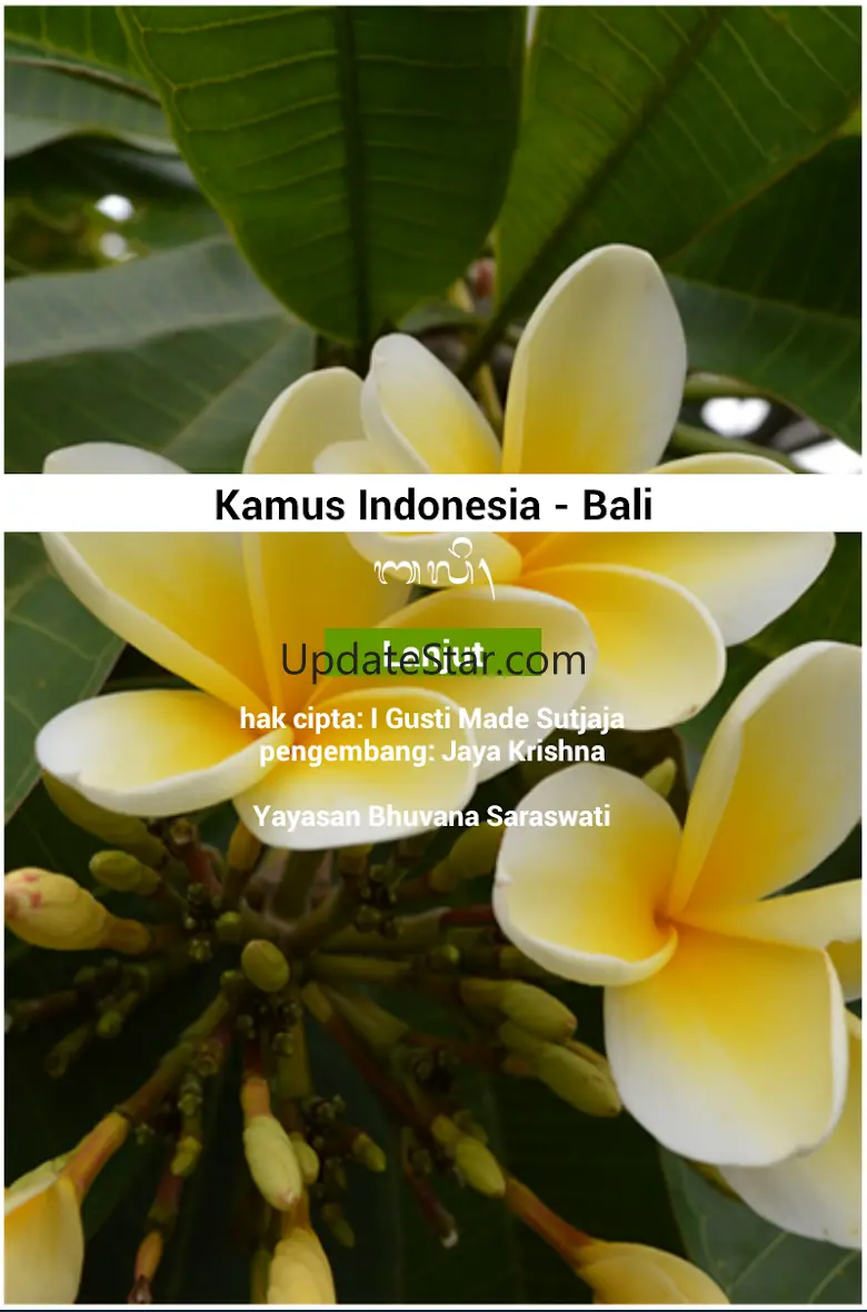 Kamus Indonesia - Bali 2.3