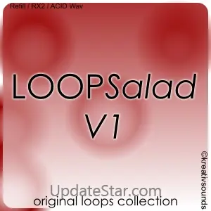 LOOPSalad V1