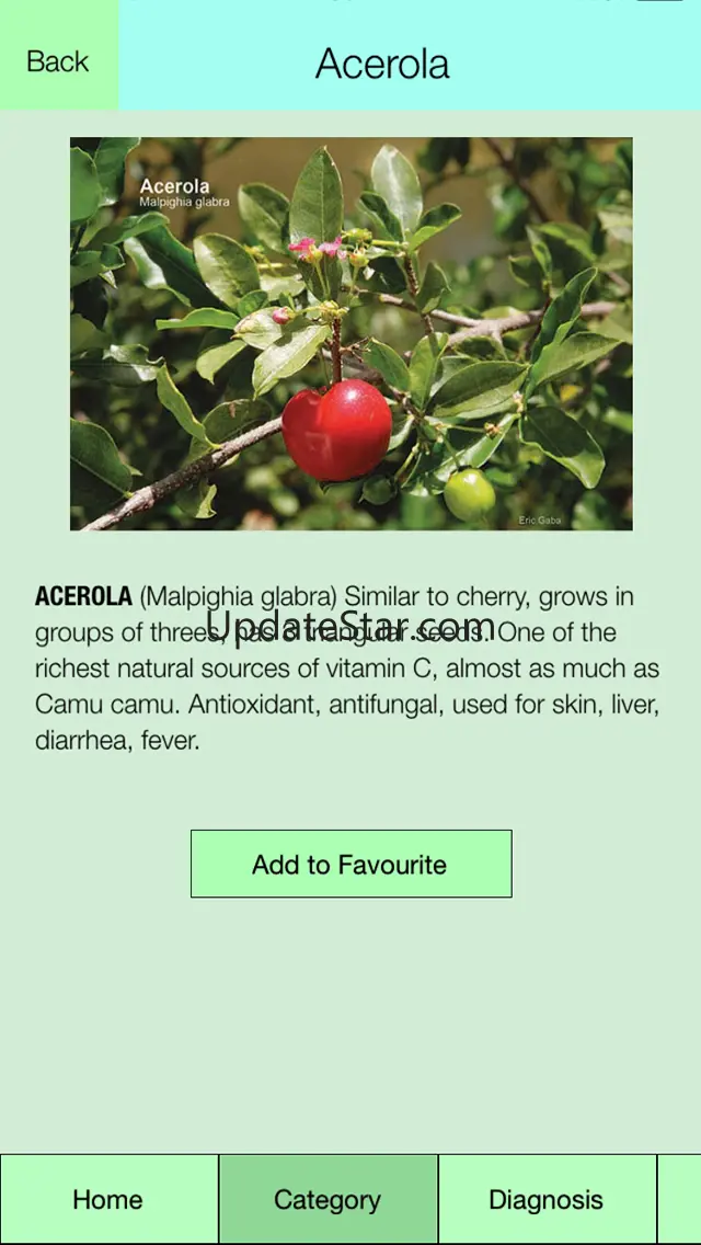 Edible Plant Guide 1.0