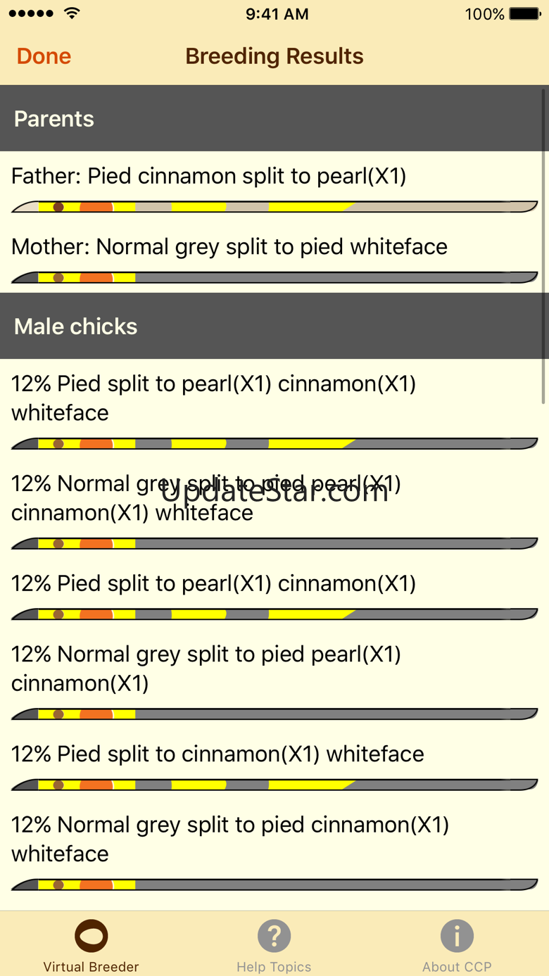 Cockatiel Color Palette 1.0