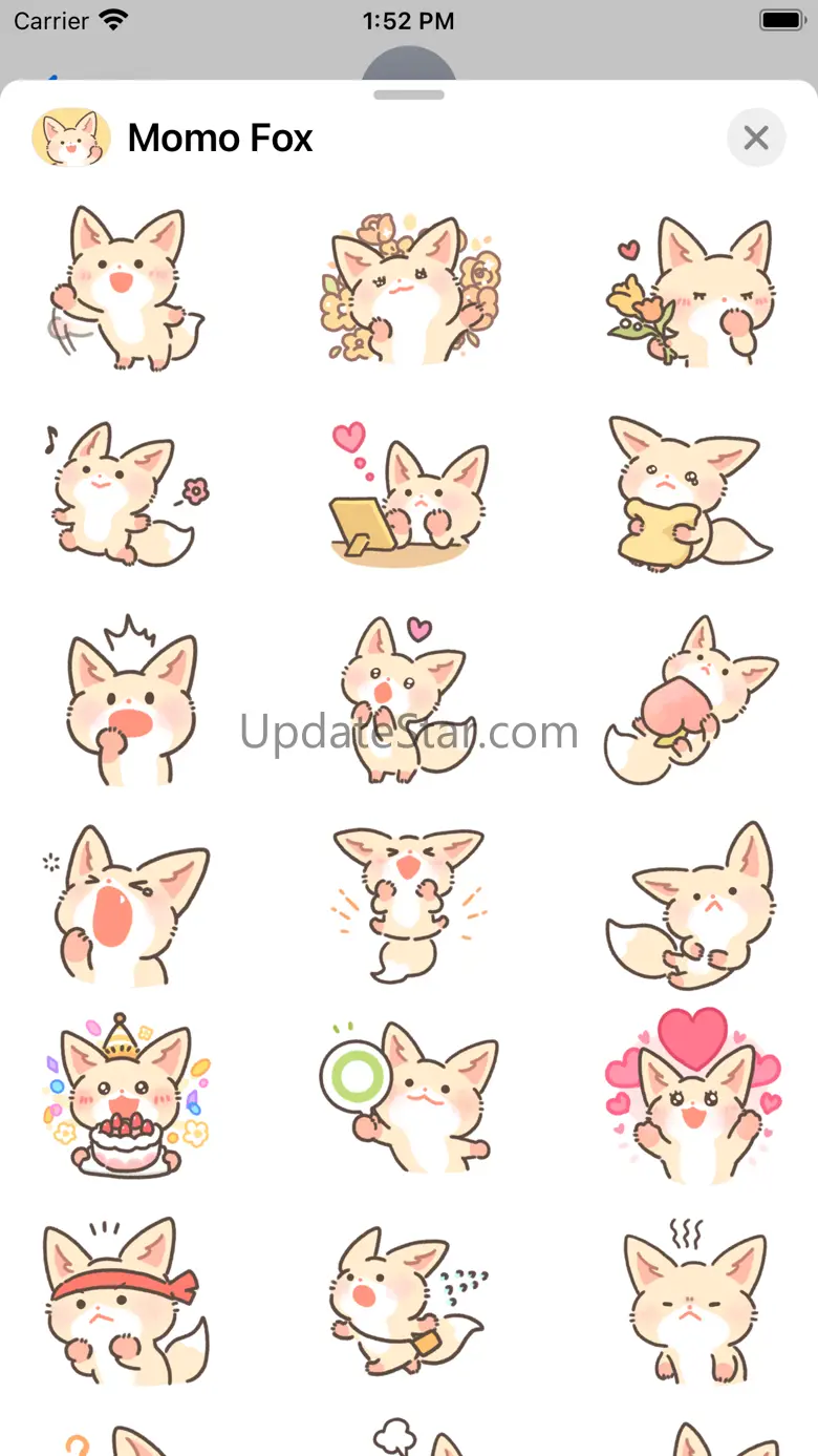 Momo Fox 1.0