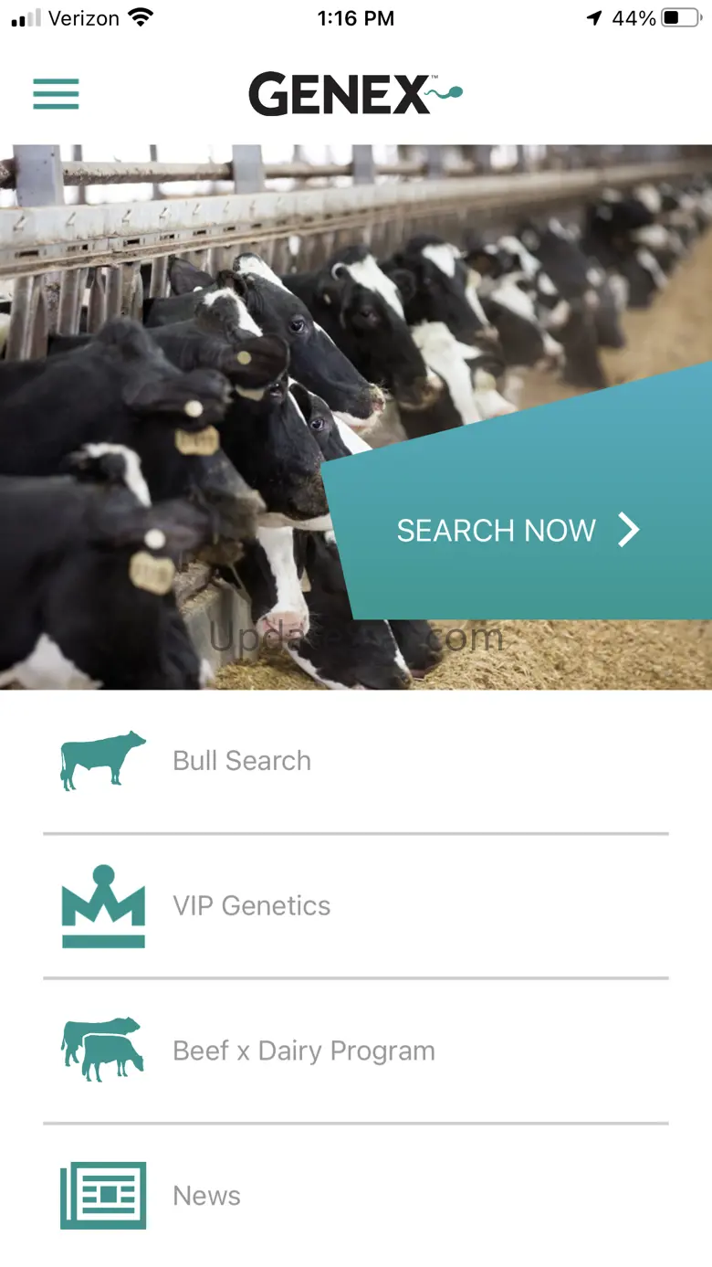 Bull Search 4.6.9