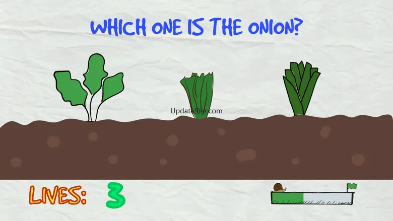 Tricky Quiz 1.2