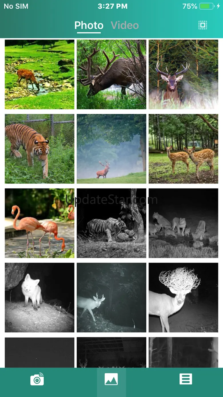 Trail Cam 1.6
