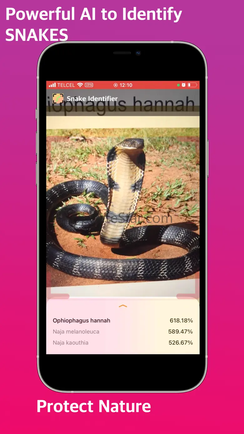 Snake Identifier 1.0