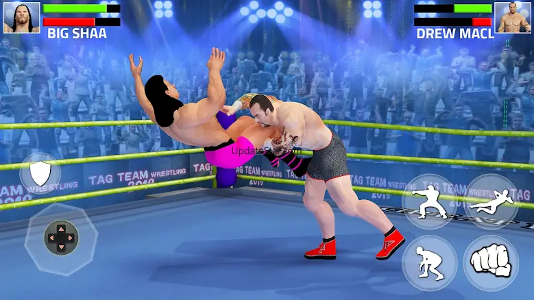 Tag Team Wrestling Game 8.5.6