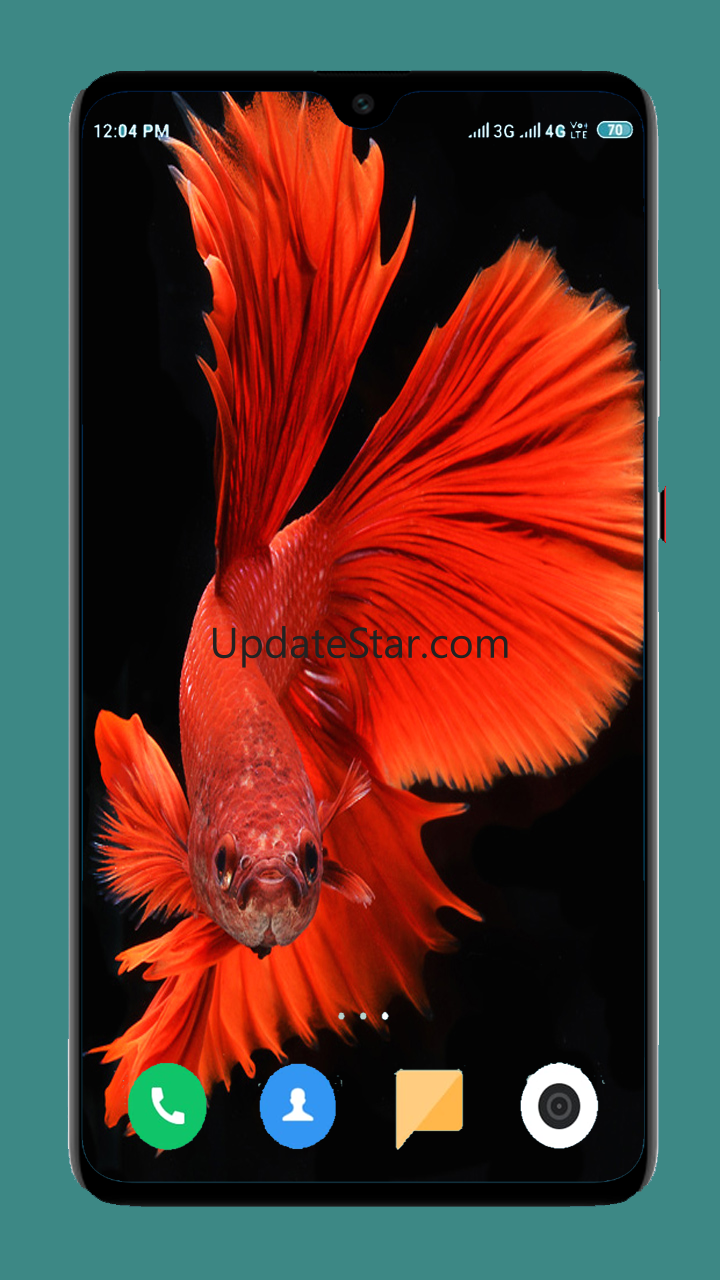 Betta Fish Wallpapers 4K 1.12