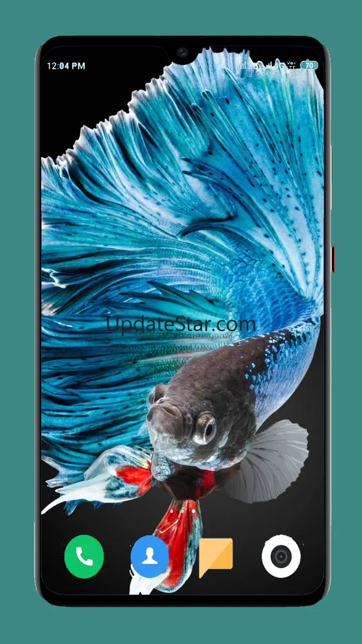 Betta Fish Wallpapers 4K 1.12