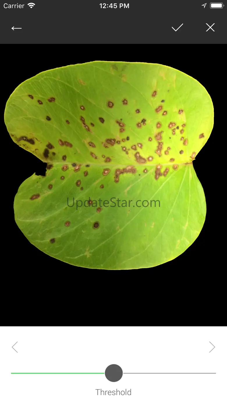 Leaf Doctor 1.1