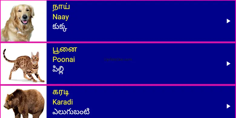Learn Tamil From Telugu 22