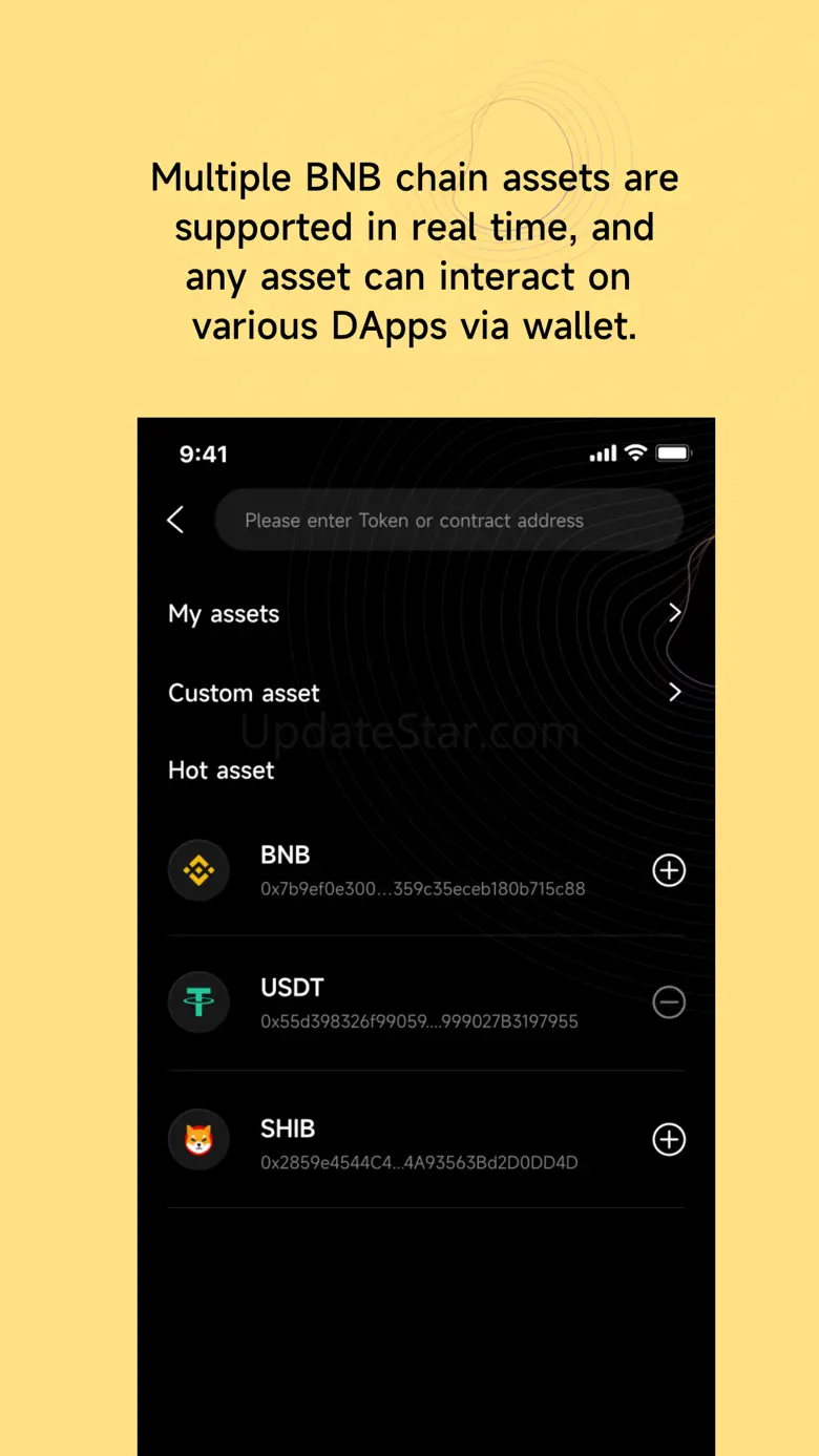BSC Wallet: BNB chain 1.1.10