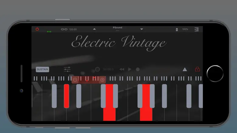 Electric Vintage 1.0.4