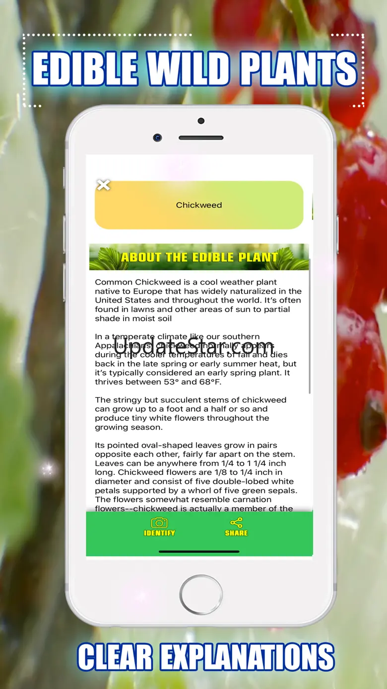 Edible Wild Plants 1.4