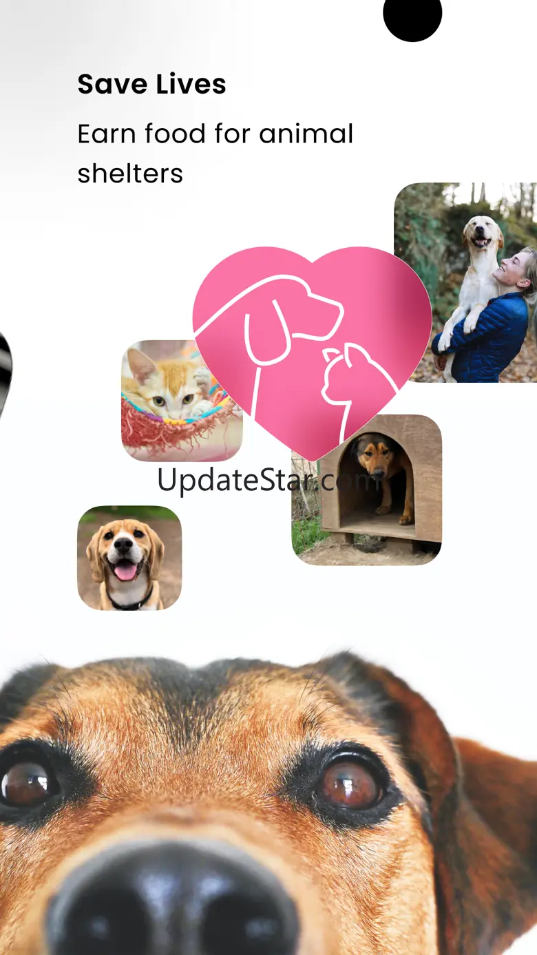 Sincere Pet Rewards Debit Card 1.0.36