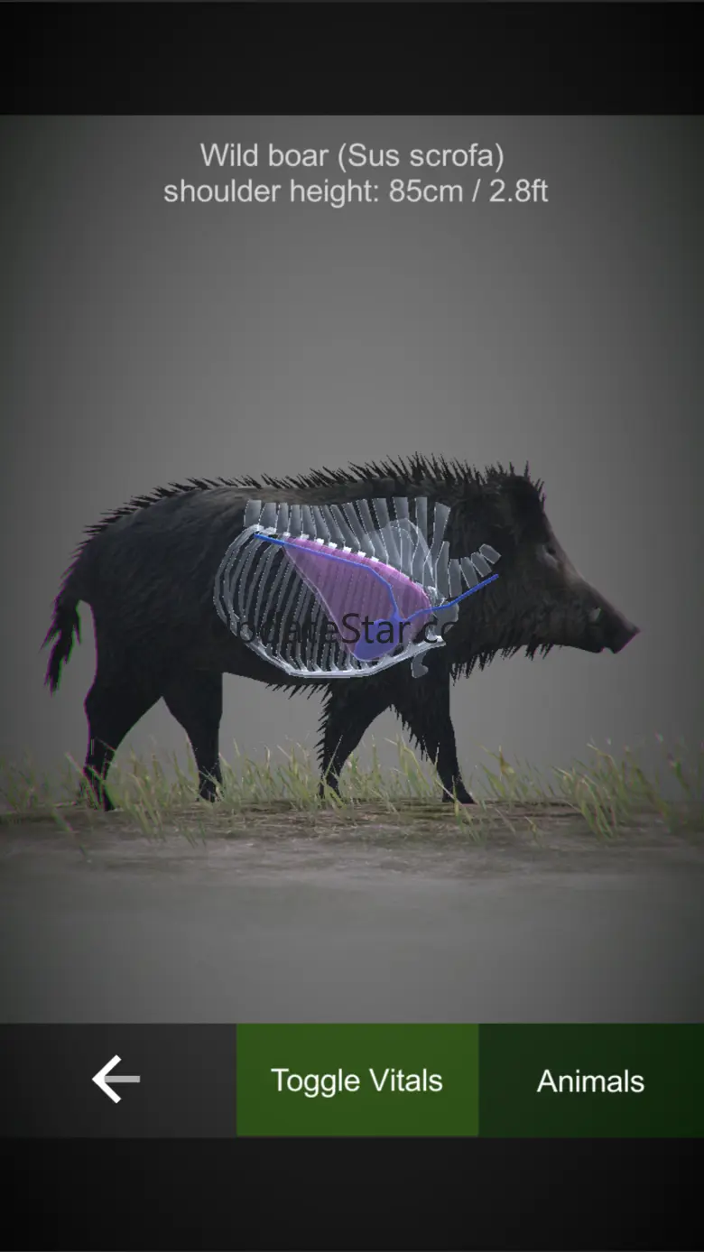 HuntingSim 1.15
