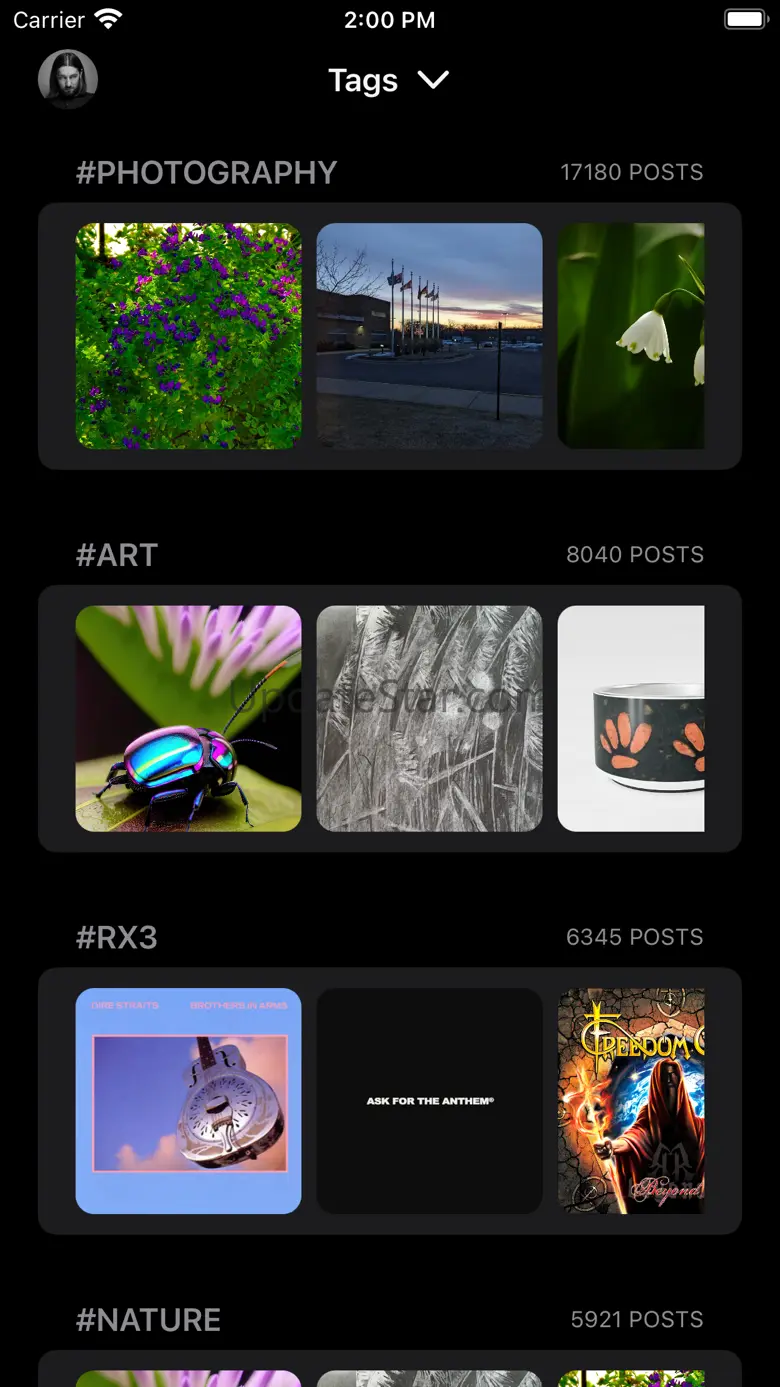 Vernissage for Pixelfed 2.0.5
