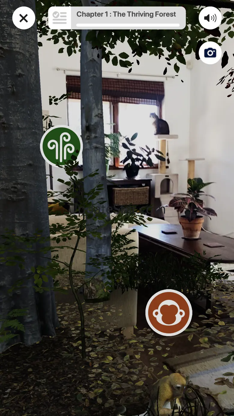 WWF Forests 1.0.1