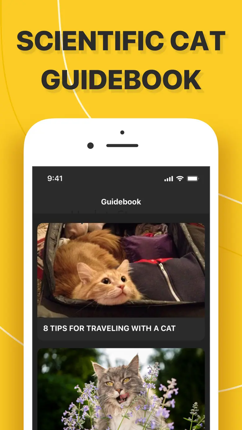 MEOW - VIDEO CHAT & LIVE SHARE 1.1.0