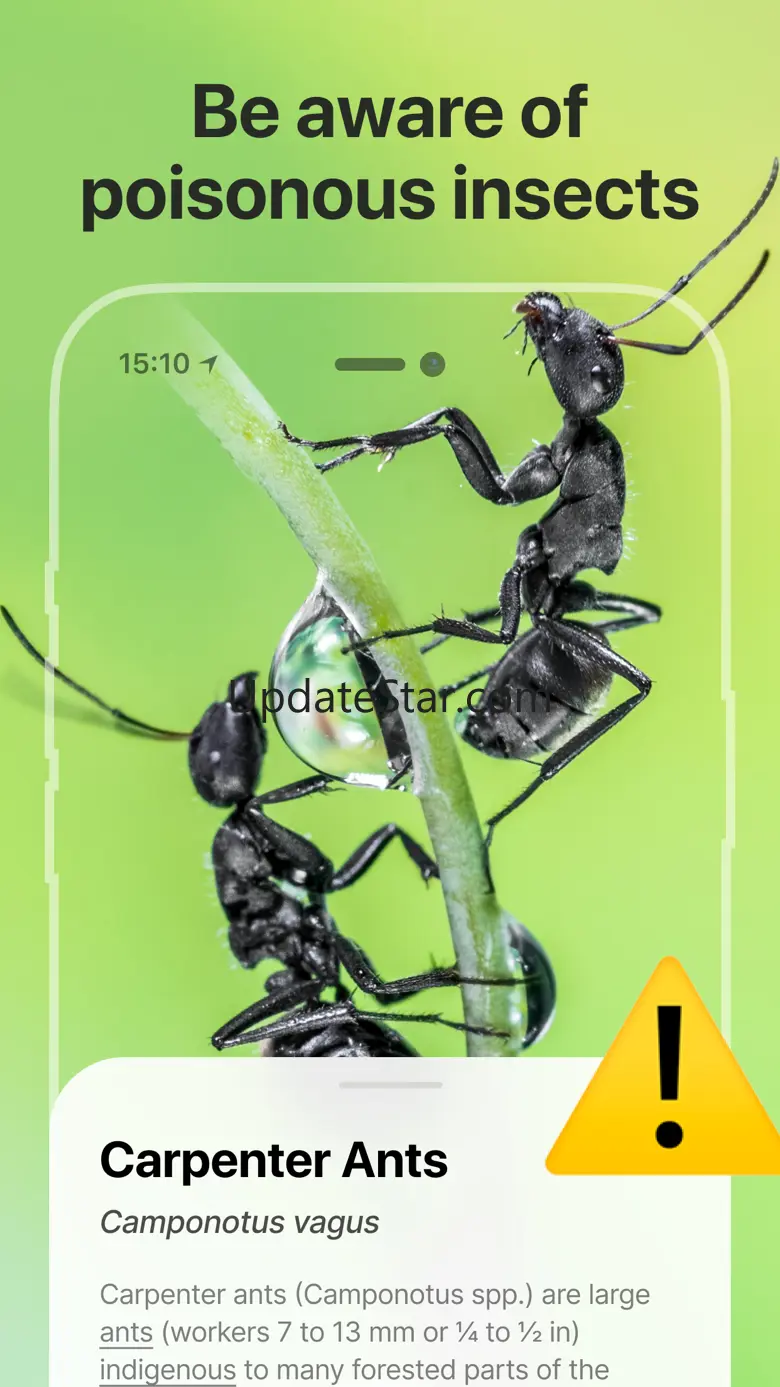 Bug Identifier: Insect, Spider 1.0.3