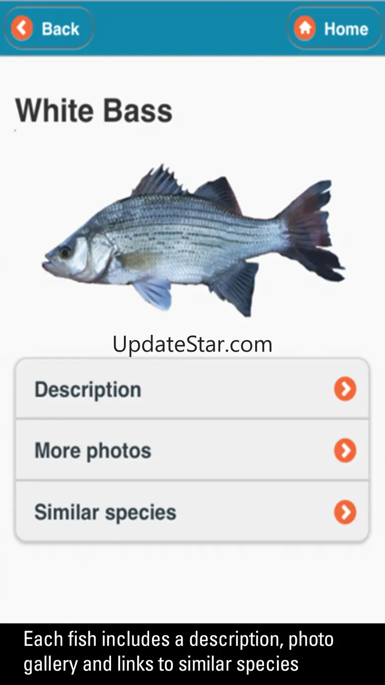 WI Fish ID 1.0.1
